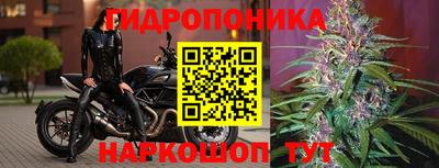 ECSTASY Новокубанск