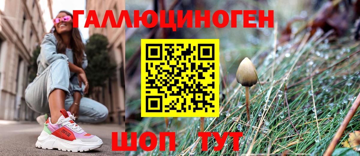 купить закладку  Вход с VPN  Рославль  Псилоцибиновые грибы MAGIC MUSHROOMS 