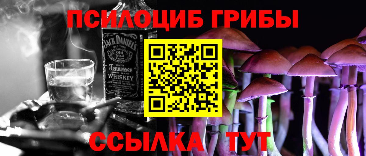 Псилоцибиновые грибы Psilocybine cubensis Рославль